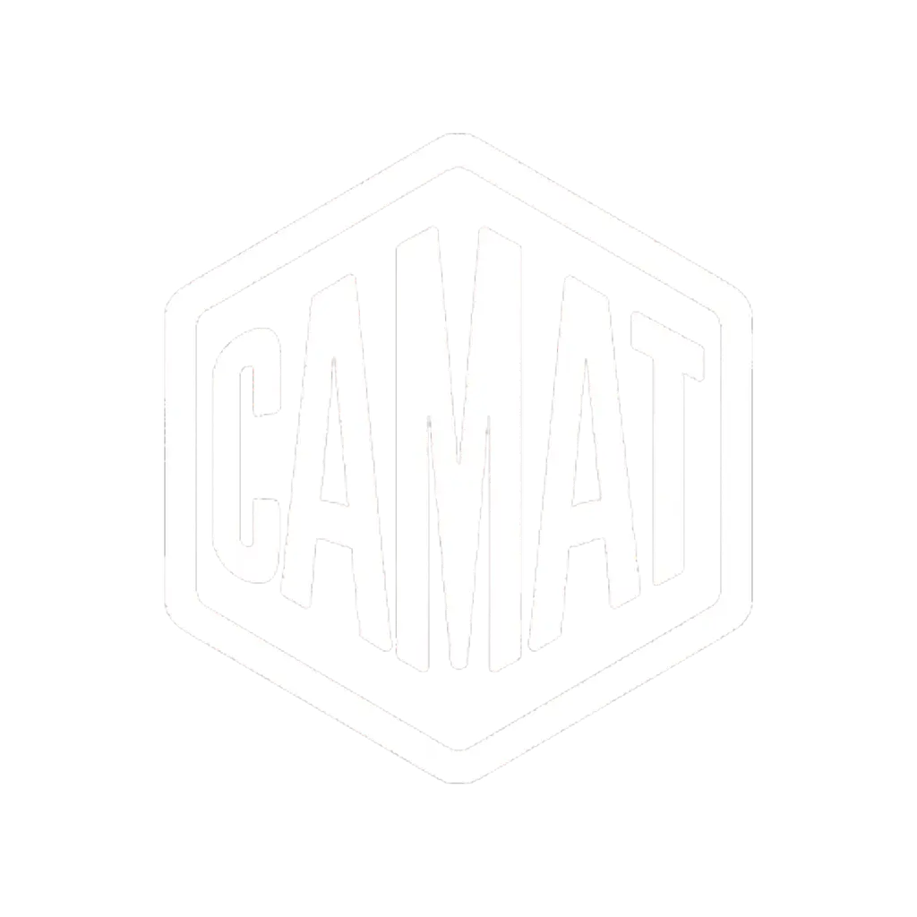 Pak Camat